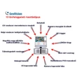 GV-CENTERV2, videó távfelügyeleti modul